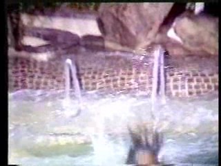 German Fashion Show,  Sea World