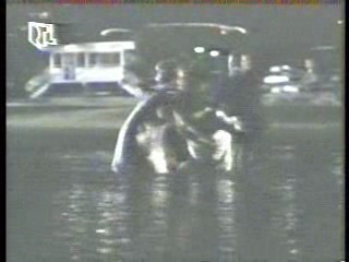 The Man from Atlantis,  German Disney Club (2)