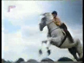 Sylvester,  German film