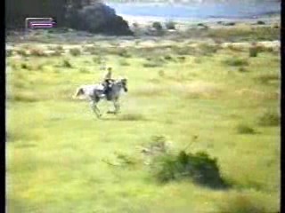 Sylvester,  German film