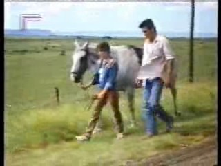 Sylvester,  German film