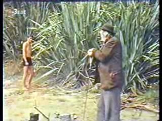 Sylvester,  German film