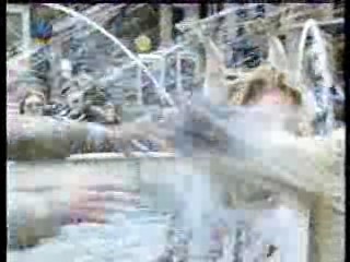 National Lampoon's European Vacation, German TV