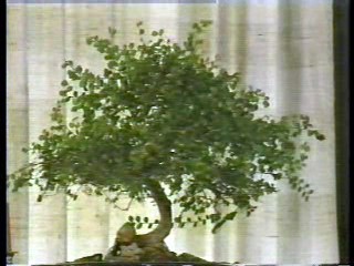 National Lampoon's European Vacation, German TV