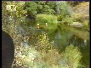 Mann O Mann Show,  Dr Quinn