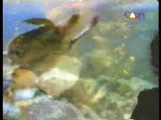 Beyond Evil,   German movie,  Come Undone