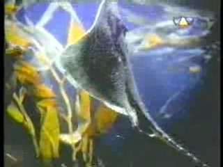 Beyond Evil,   German movie,  Come Undone