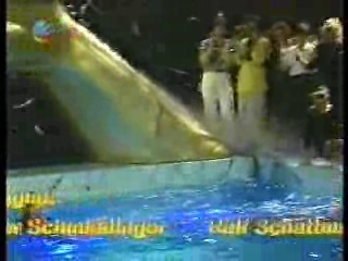 Mann O Mann Show (2)