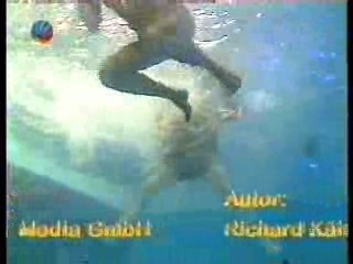 Mann O Mann Show (2)