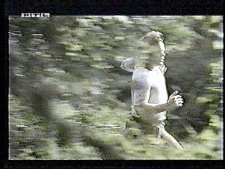 The Land that Time Forgot,  German TV,  Rally 'Round the Flag, Boys!