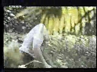 The Land that Time Forgot,  German TV,  Rally 'Round the Flag, Boys!