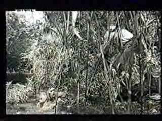 The Land that Time Forgot,  German TV,  Rally 'Round the Flag, Boys!