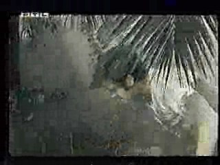 The Land that Time Forgot,  German TV,  Rally 'Round the Flag, Boys!