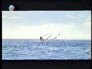 The Land that Time Forgot,  German TV,  Rally 'Round the Flag, Boys!