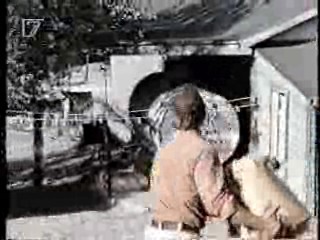 Lone Wolf McQuade,  Mann O Mann Show