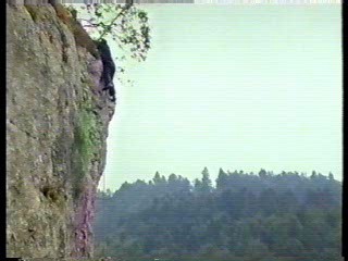 German TV drama,   State Fair