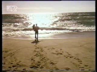 Scommettiano Che,  The Heartbreak Kid