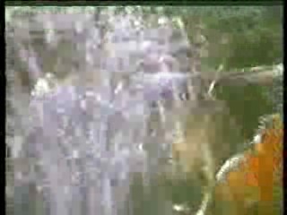 A Certain Sacrifice (Madonna)