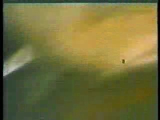 A Certain Sacrifice (Madonna)