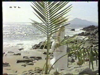 Eden,  Wet T Shirt Girl,  The Bionic Woman