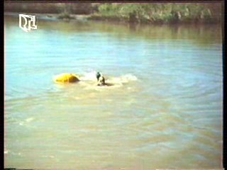 Eden,  Wet T Shirt Girl,  The Bionic Woman