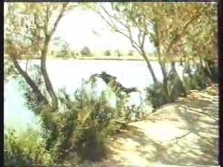 Hell's angels,  The Long Long Trailer