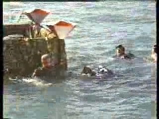 Jungle Film,  German movies (2), Germany's Funniest Home Videos