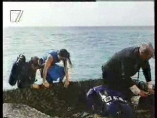 Jungle Film,  German movies (2), Germany's Funniest Home Videos