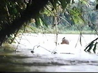 Beyond Rangoon (1995)