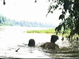 Beyond Rangoon (1995)