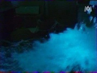 Panique Dans La Vile