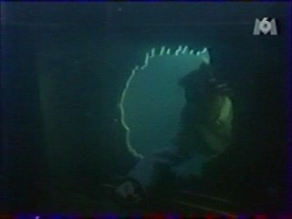 Panique Dans La Vile