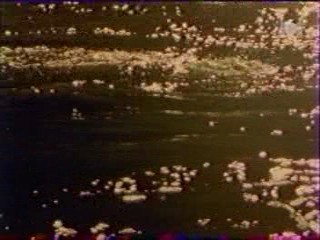 Panique Dans La Vile