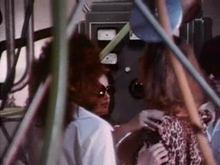 Invasion of the Bee Girls