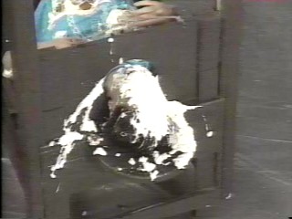 Danni Pied - Wild Animal Games