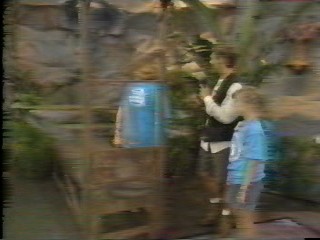 pie wild animal games