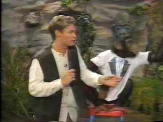 pie wild animal games