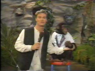 pie wild animal games