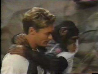 pie wild animal games