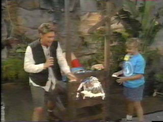 pie wild animal games