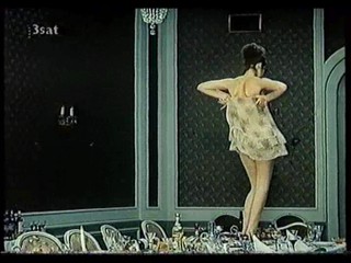 SedmikrÃ¡sky (Daisies)