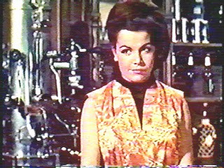 Beach Party,  The 3 Stooges