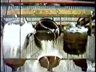 Where Angels Go, Trouble Follows