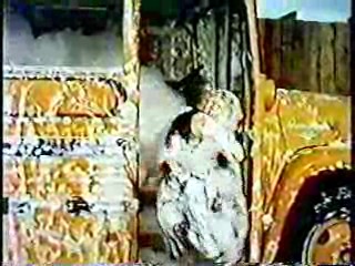 Where Angels Go, Trouble Follows