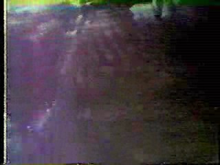 Elvira - Bloopers and Practical Jokes,  The Taming of the Shrew