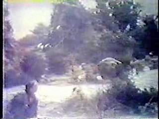 Elvira - Bloopers and Practical Jokes,  The Taming of the Shrew