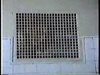 Fame (the tv series)