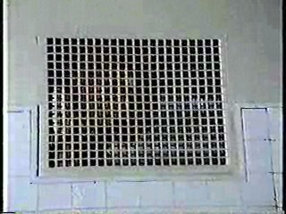 Fame (the tv series)