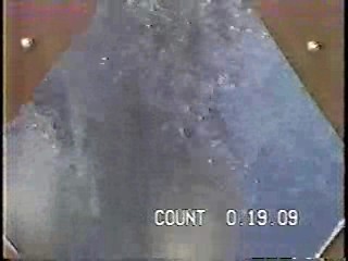 Nick TV Dunk Tank,  Problem Child