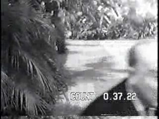 Night Patrol,  Sullivan's Travels,  America's Funniest Home Videos,  What Would You Do